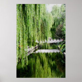 Affiches Willow