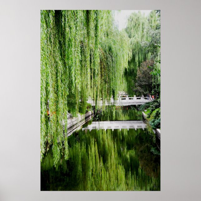 Affiches Willow (Devant)
