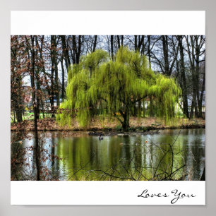 Affiches Willow