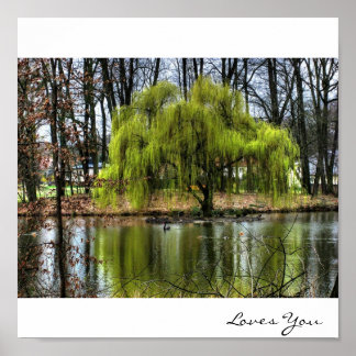 Affiches Willow