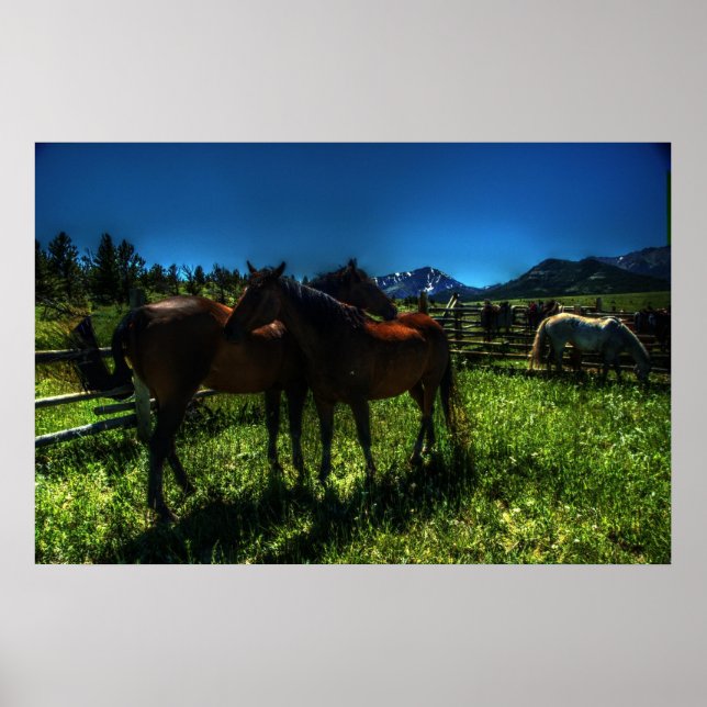 Affiches Willy et Chargeur (Devant)