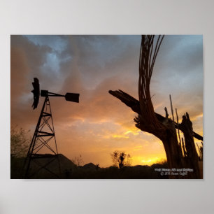 Affiches Windmill Saguaro Cactus Skeleton Arizona Sunset