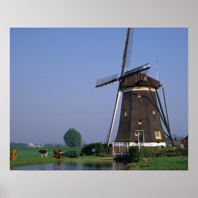 Affiches Windmills, Leidschendam, Pays-Bas (Devant)