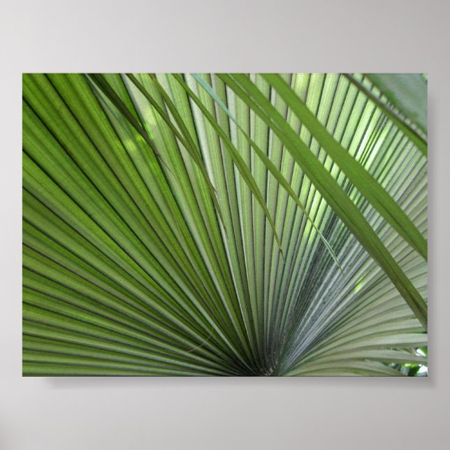 Affiches "Winnow" (Devant)