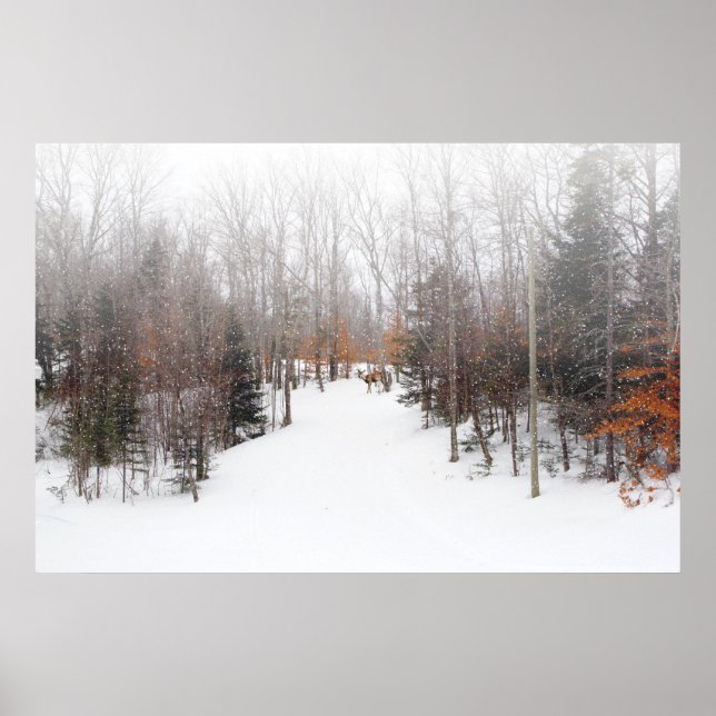 Affiches Winter Deer (Devant)