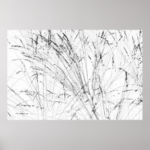 Affiches Winter Grass In Snow