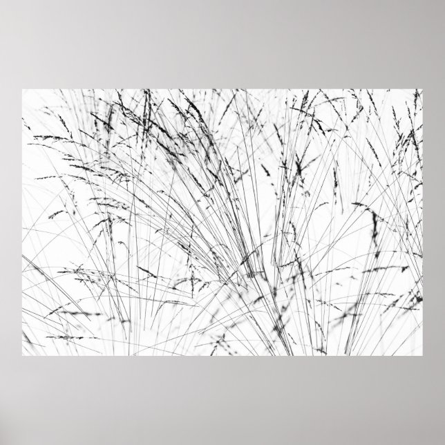 Affiches Winter Grass In Snow (Devant)
