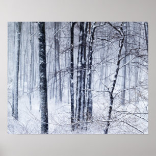 Affiches Winter Wonderland