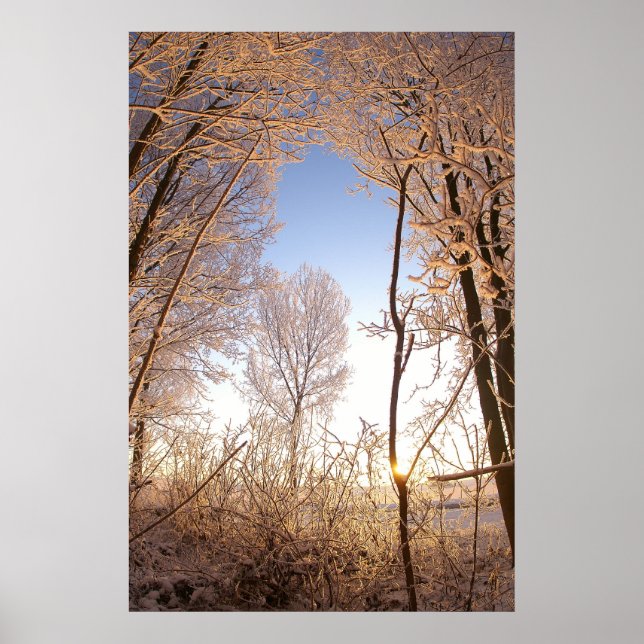 Affiches Wintergate (Devant)