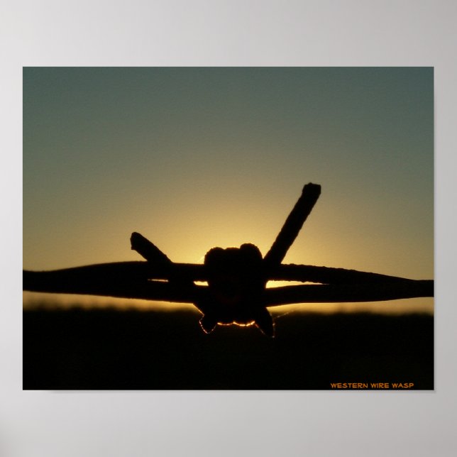 Affiches Wire Wasp (Devant)