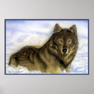 Affiches Wolf Winterter
