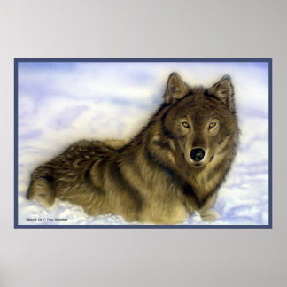 Affiches Wolf Winterter