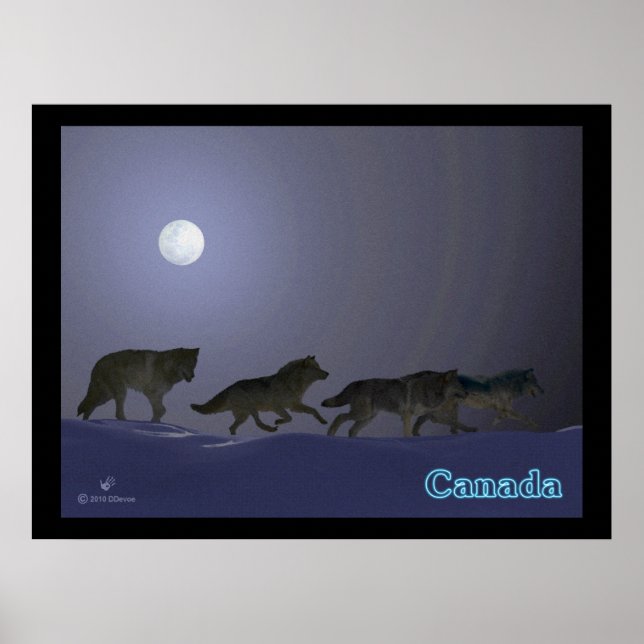 Affiches Wolfpack (Devant)