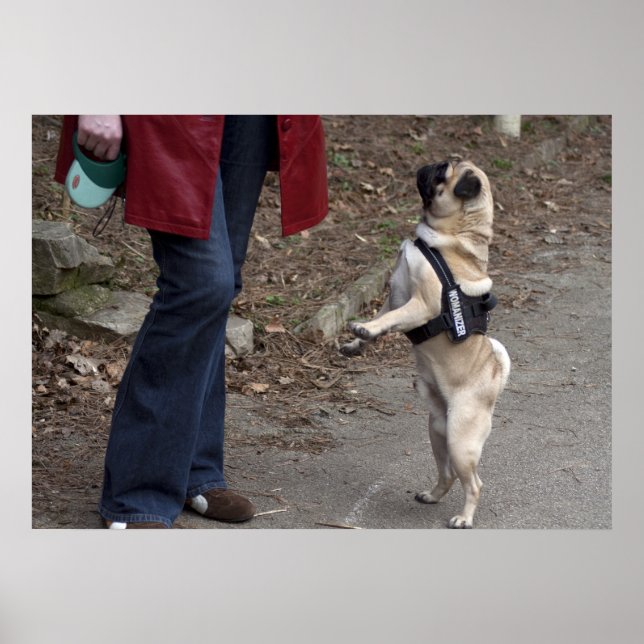 Affiches Womanizer (Devant)