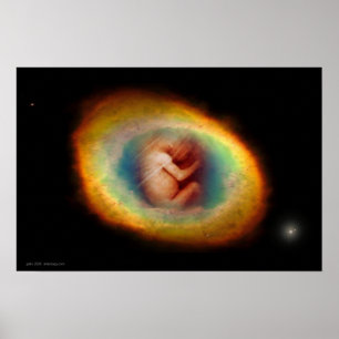 Affiches Womb by Gregory Gallo