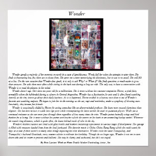 Affiches Wonder