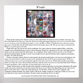 Affiches Wonder