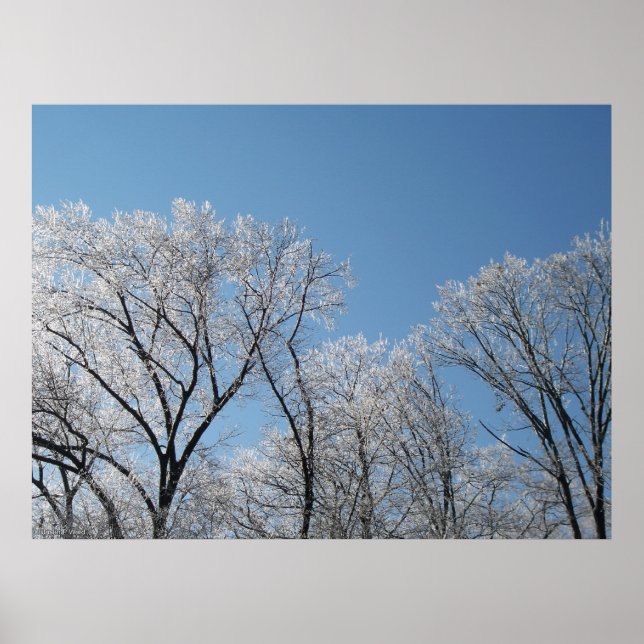 Affiches Wonderland d'hiver avec arbres glacés (Devant)