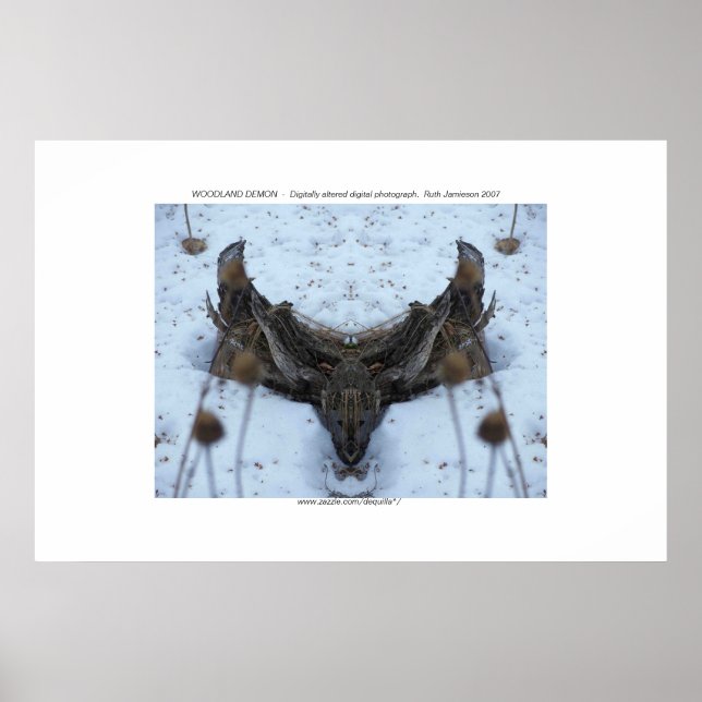 AFFICHES WOODLAND DEMON (Devant)