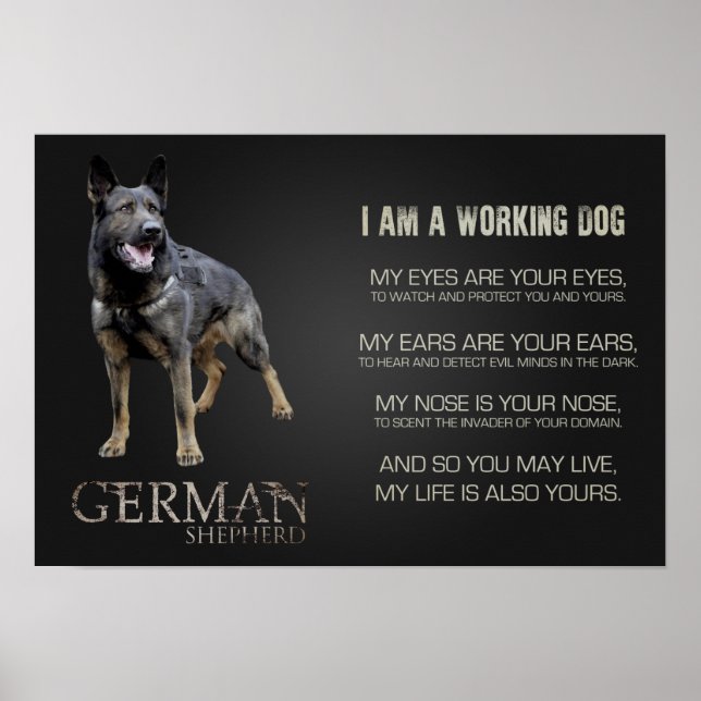 Affiches Working German (Devant)