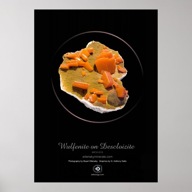 AFFICHES WULFENITE (Devant)