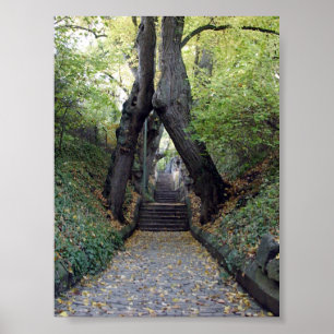 Affiches Wurzburg, Allemagne