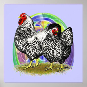 Affiches Wyandotte : paire d'oeufs de Pâques