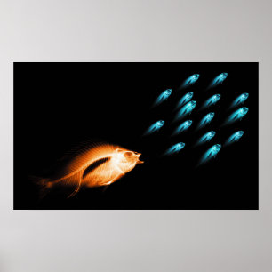 AFFICHES XRAY FISH CHASE ORIGINAL NOIR