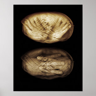 Affiches Yarn hands 2013