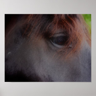 Affiches Yeux De L'Âme Percheron Ébauche Cheval