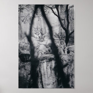 Affiches Yeux de tigre