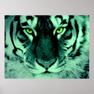 Affiches Yeux de tigre
