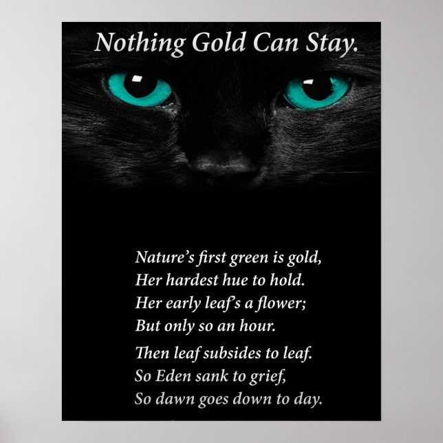 Affiches Yeux fixes (Devant)