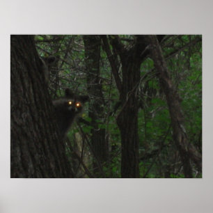 Affiches Yeux nocturnes