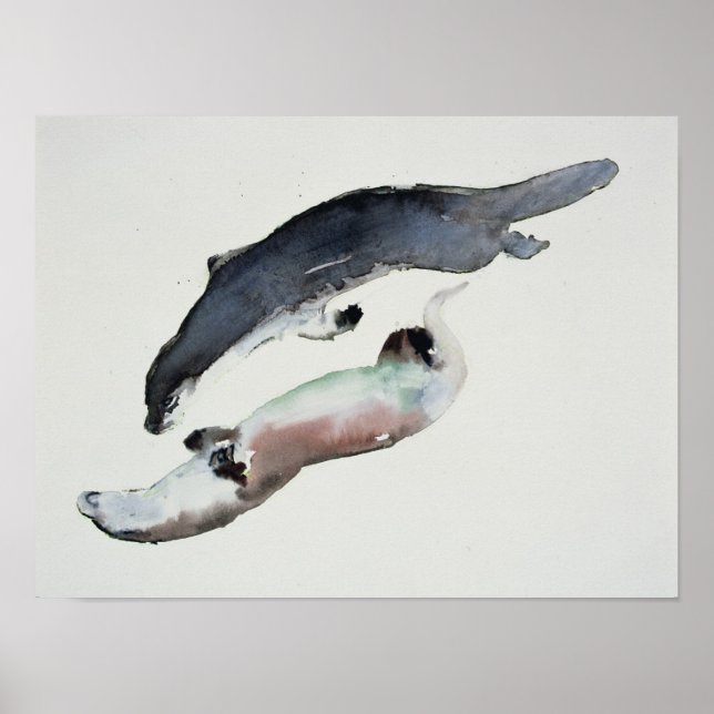 Affiches Yin Yang (Devant)