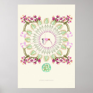 Affiches yoga Garden III