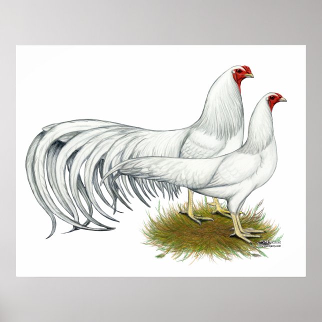 Affiches Yokohama : Paire blanche (Devant)