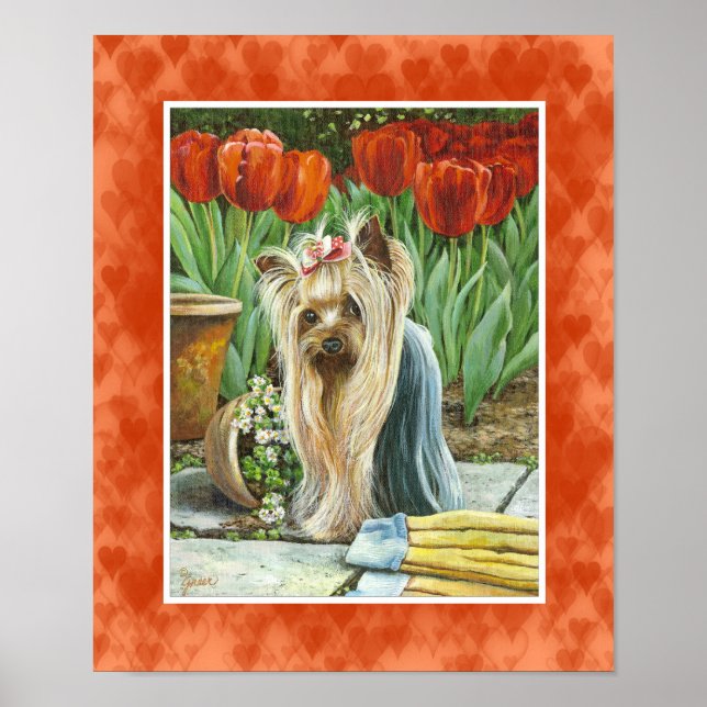 Affiches Yorkie dans Tulip Garden Canvas Imprimer (Devant)