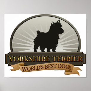 Affiches Yorkshire Terrier