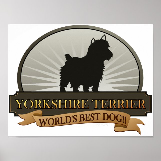 Affiches Yorkshire Terrier (Devant)