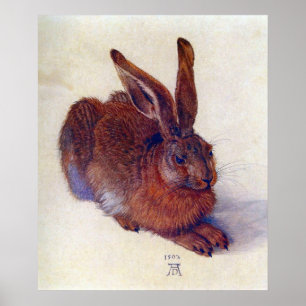 Affiches Young Hare by Albrecht Durer, Renaissance Fine Art