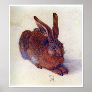 Affiches Young Hare by Albrecht Durer, Renaissance Fine Art