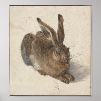 Affiches Young Hare par Albrecht Durer