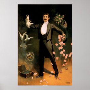 Affiches Zan Zig en concert avec le lapin et les roses