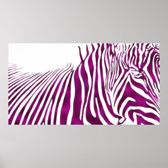 AFFICHES ZEBRA (Devant)