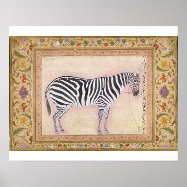 Affiches Zebra, de l'album Minto, 1621 (gouache sur pa (Devant)