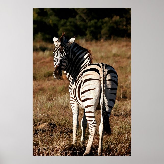 Affiches Zebra derrière l'affiche (Devant)