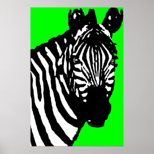 Affiches zèbre
