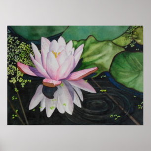 Affiches Zen Lilly