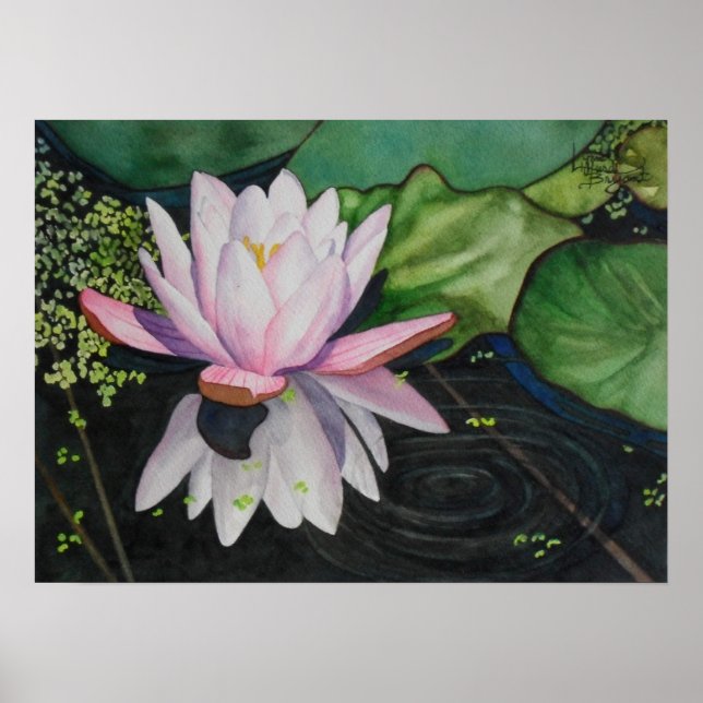 Affiches Zen Lilly (Devant)